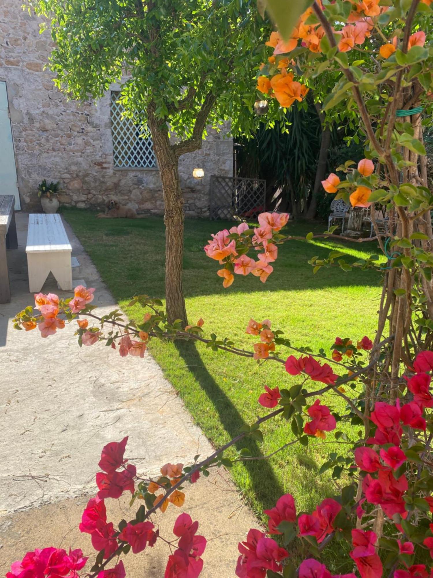 Corte Boero Bed&Breakfast คาโปแตร์รา ภายนอก รูปภาพ